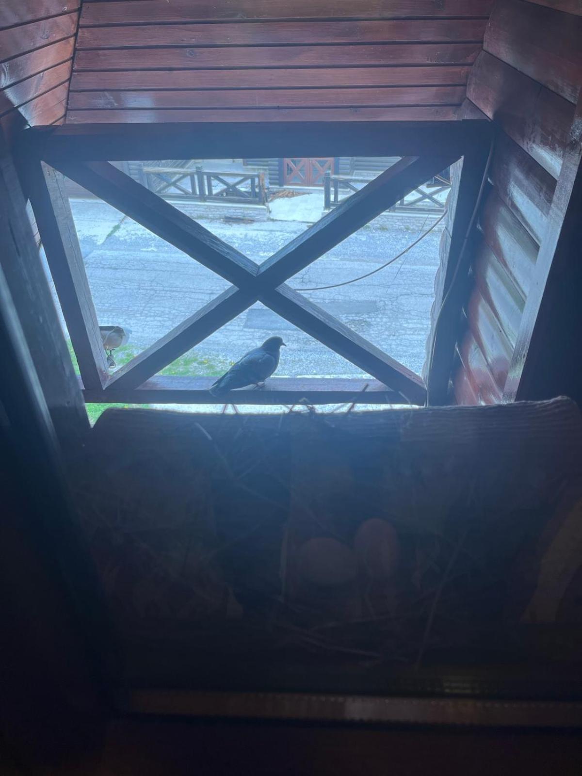 Apartmani "Matija" Žabljak Kültér fotó